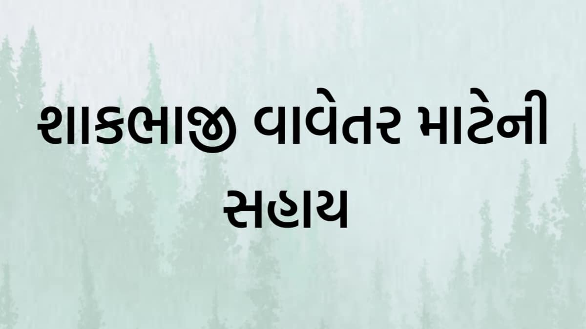 Kacha Mandap Sahay Yojana 2024